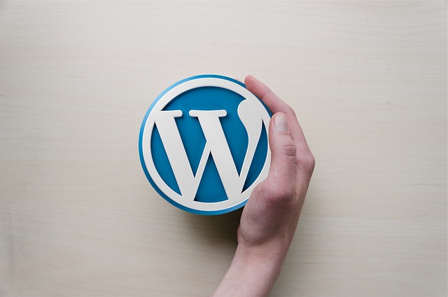 WordPress Kurulumu